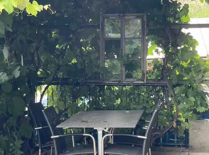 Check-in 24-7 Ohne Fruehstueck Gratis Parkplatz *